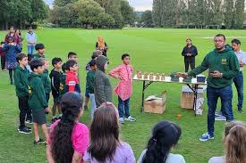 Image result for Three Bridges Cricket Club