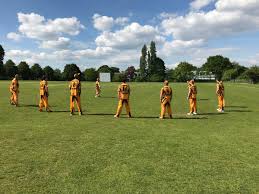 Image result for Pyrford Cricket Club