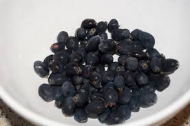 Attēlu rezultāti vaicājumam “Lonicera caerulea var. pallasii fruit”