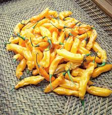 Afbeeldingsresultaat voor mme jeanette hot pepper