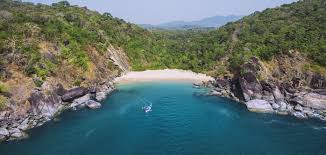Image result for goa beaches