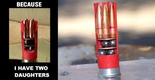 Image result for shell hell