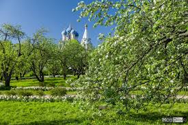 Картинки по запросу выполненное в цвете рельефное изображение пассажирского среднемагистрального лайнера