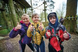 Image result for Go Ape! Alice Holt