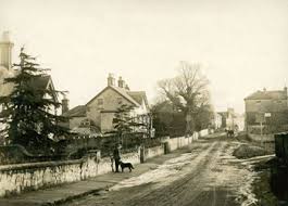 Image result for Nutfield Youth