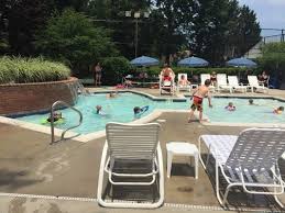 Image result for York University Pool Club