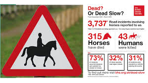 Image result for British Horse Society