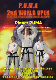 Image result for Swindon Hapkido Club