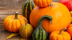 Image result for Kürbis