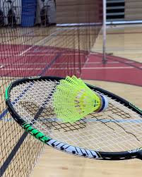 Image result for Horrabridge Badminton Club