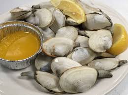 Image result for Clams