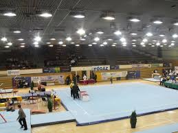 Image result for Harlequins Gymnastics Club