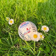 Image result for Cambridge Area Mixed League rounders