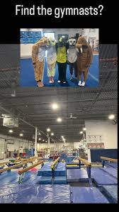 Image result for Altius Trampoline Club