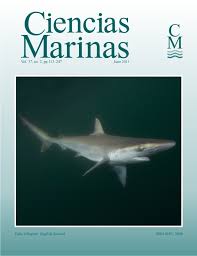 Image result for Rhizoprionodon longurio