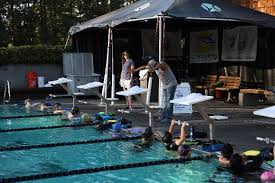 Image result for Grimsby Alexander Dolphins Swimming Club