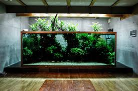 Znalezione obrazy dla zapytania takashi amano%