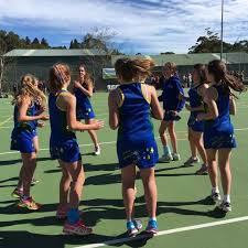 Image result for Comets Netball Club