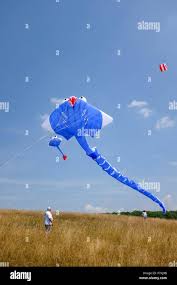 Image result for Brighton Kite Fliers