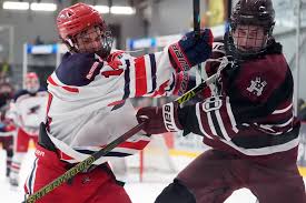 Image result for Demons Skater Hockey Club