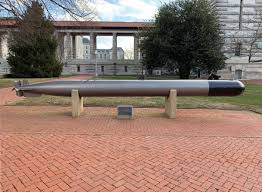 Image result for Torpedo torpedo