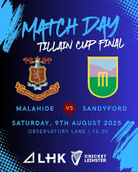 Image result for Sandyford Cricket Club