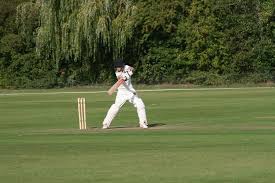 Image result for Horsley & Send Cricket Club