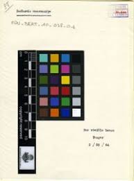 Attēlu rezultāti vaicājumam “Badhamia macrocarpa”