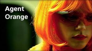 Image result for агент оранж