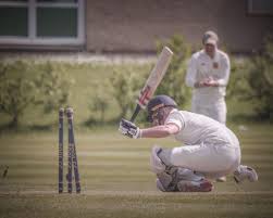 Image result for Bilton Cricket Club