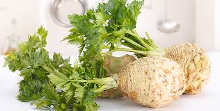 Image result for Sellerie