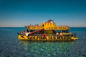 Image result for Dolphin Sub Aqua