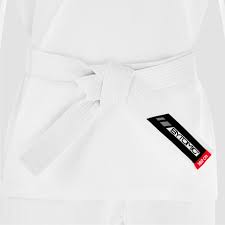 Image result for Bytomic Tae Kwon Do Windsor
