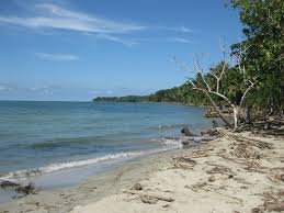 Image result for cahuita costa rica