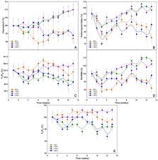 Attēlu rezultāti vaicājumam “Saussurea esthonica flower”
