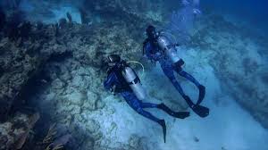 Image result for Blue Water Diving