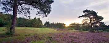 Image result for Crowborough Beacon Golf Club Limited