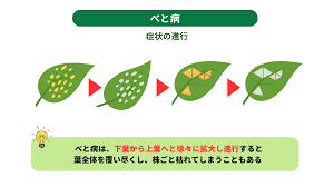 Image result for 生理現象ラキ