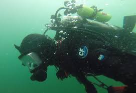 Image result for Dive Crew Scuba Diving