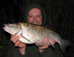 Image result for Thames Valley Angling