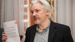 Image result for assange