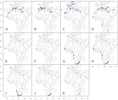 Image result for Chelon tricuspidens