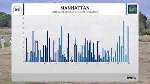 Image result for Aston Ingham Cricket Club