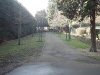 Image result for Clock House (Upminster) Bowling Club