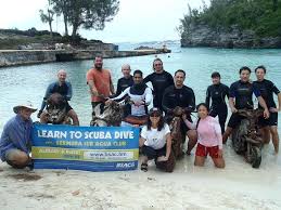 Image result for Black Country Barracudas Sub Aqua Club