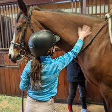 Image result for Palmers Riding Stables