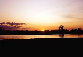 Billedresultat for kakadu n...