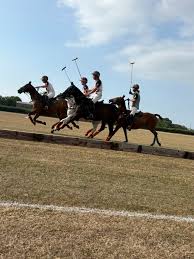 Image result for Taunton Vale Polo Club