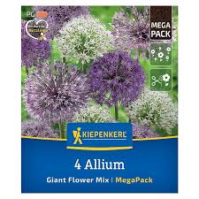 Image result for Zierlauch