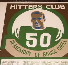 Image result for Capel Football Club